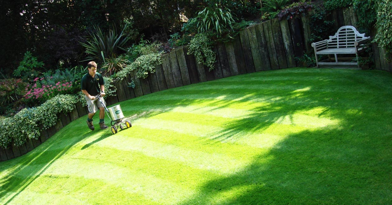 Employee fertilising grass